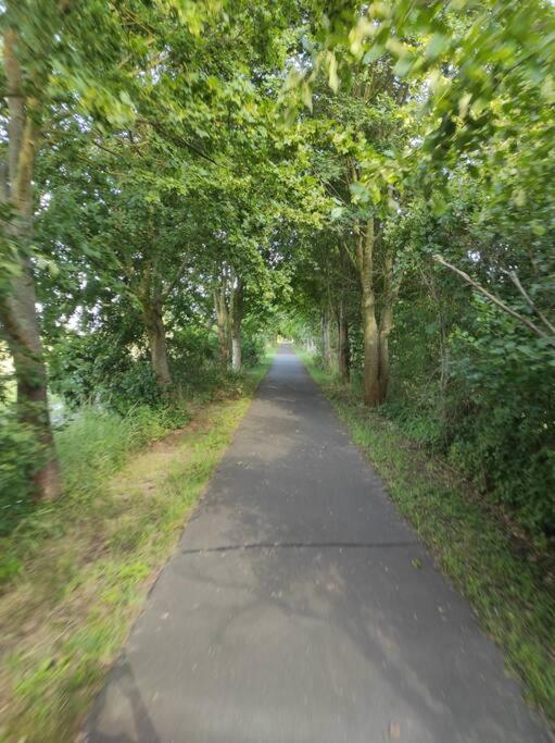 Storchennest - Ferienwohnung Am Storchenradweg Ketzür المظهر الخارجي الصورة