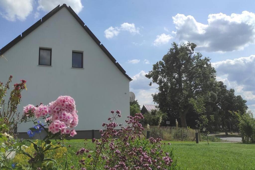 Storchennest - Ferienwohnung Am Storchenradweg Ketzür المظهر الخارجي الصورة