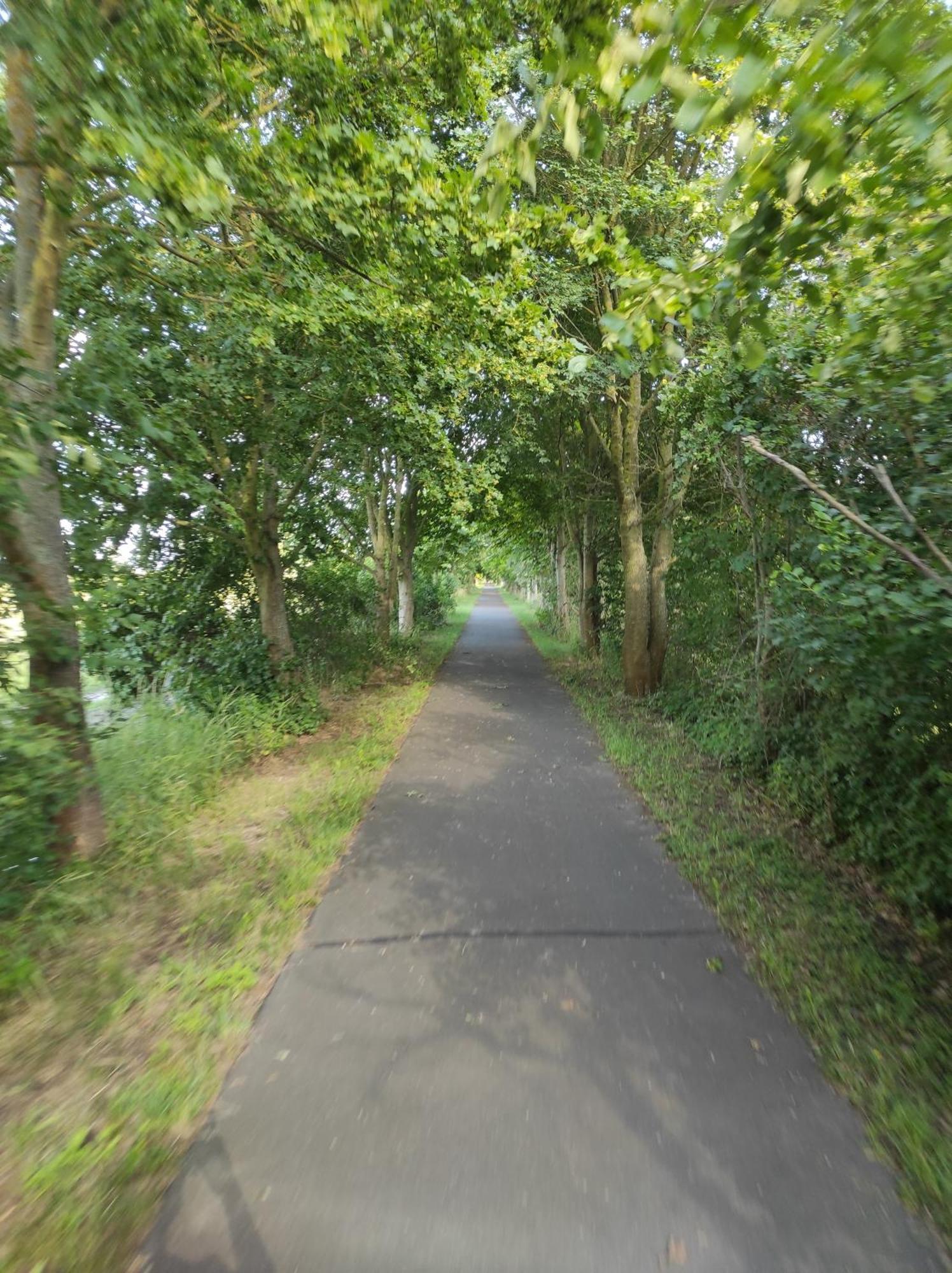 Storchennest - Ferienwohnung Am Storchenradweg Ketzür المظهر الخارجي الصورة